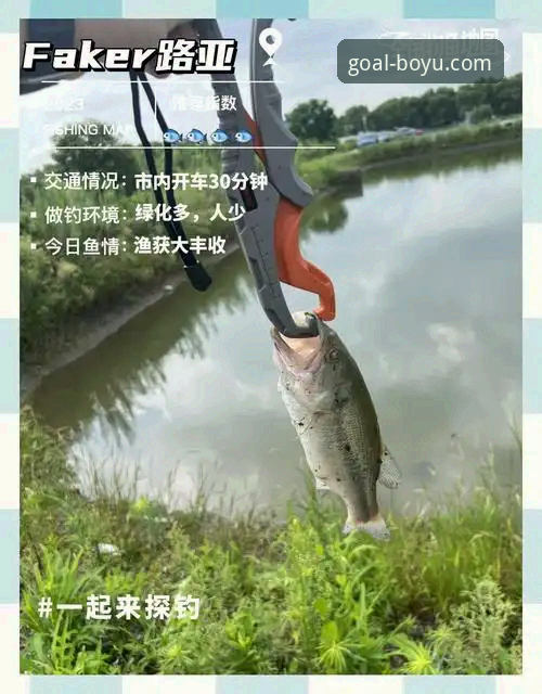 2026博鱼体育移动端 揭秘2026博鱼体育移动端:你不知道的版本升级与实战体验真相